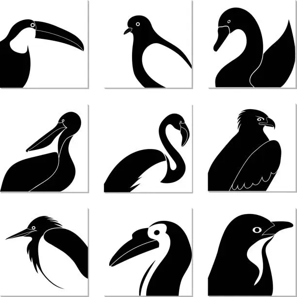 Vector illustration of set of black and white bird silhouettes for  in white squares