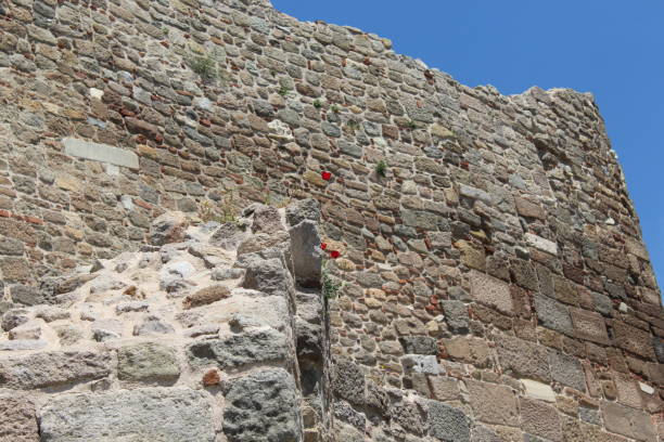 istock The ruins of an old castle 1148848912