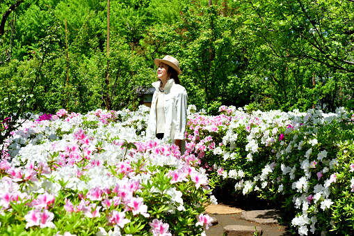 A Japanese woman is walking in Hanegi Park, a public park in Setagaya Ward, Tokyo, with azalea of different colors in full bloom on a fine spring day. The green leaves in the background are those of plum trees, for which the park is famous.