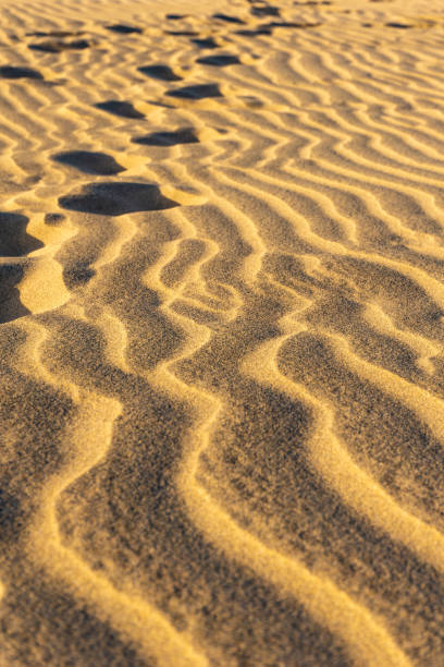 istock Closeup on the sand dunes. Footprints in the sand. 1148855865