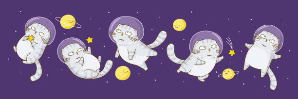 Set of cute scottish fold cats astronauts isolated on white background Five scottish fold kittens in outer space astronaut borders stock illustrations
