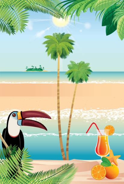 ilustrações de stock, clip art, desenhos animados e ícones de beach - australia tunisia