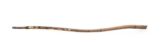 istock magic staff, old wooden walking stick 1148858871