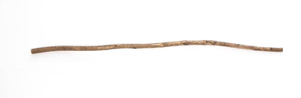 istock magic staff, old wooden walking stick 1148859026