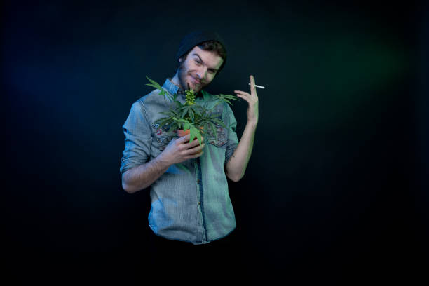 istock Young stoner man standing with marijuana plant 1148861422