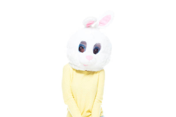 istock Bunny wearing sweater and jeans 1148861427