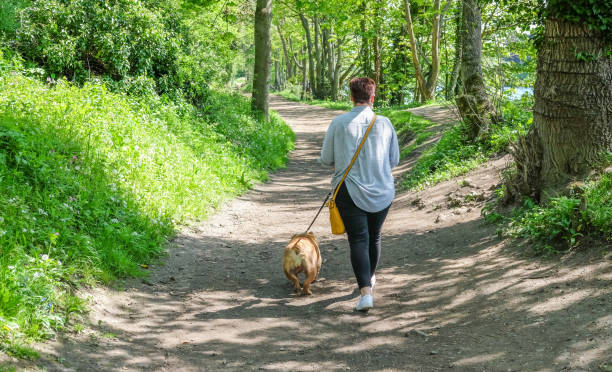 istock Woman Walking her Dog on a Nice Sunny Day 1148861516