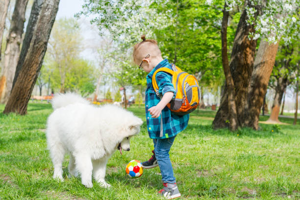 istock A little boy with glasses plays a ball with a white dog 1148861704
