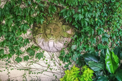 Mossy green man or sun god decorative plaque hanging on stucco fence covered with vines - background