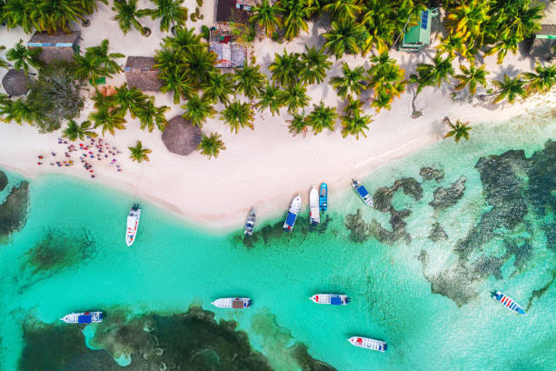 vista aérea de la playa tropical. isla de saona, república dominicana - greater antilles fotografías e imágenes de stock