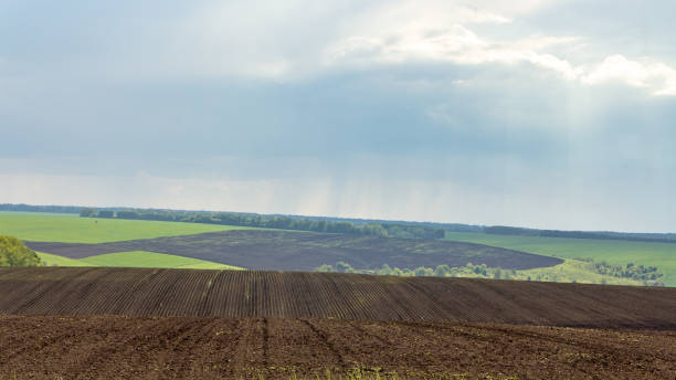 pluie sur les champs agricoles, lourds nuages orageux lentement les champs d’eau - schaumburg photos et images de collection