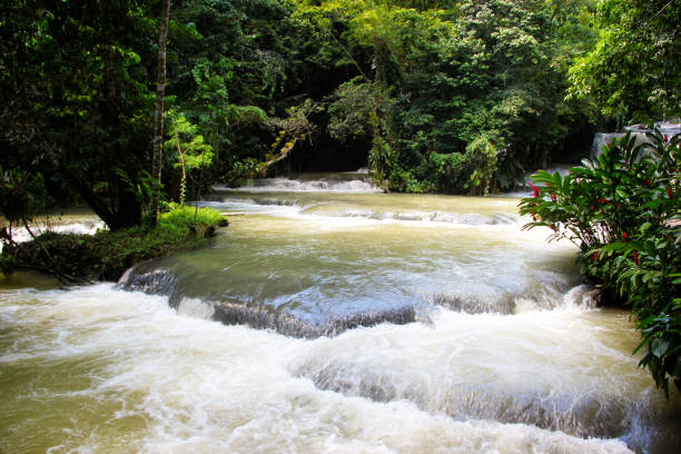 Dunn's river falls, Jamaica