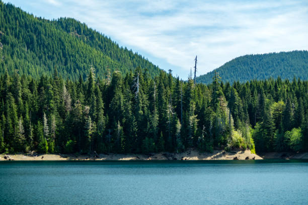 istock Wynoochee Lake in the Olympic National Park 1148868916