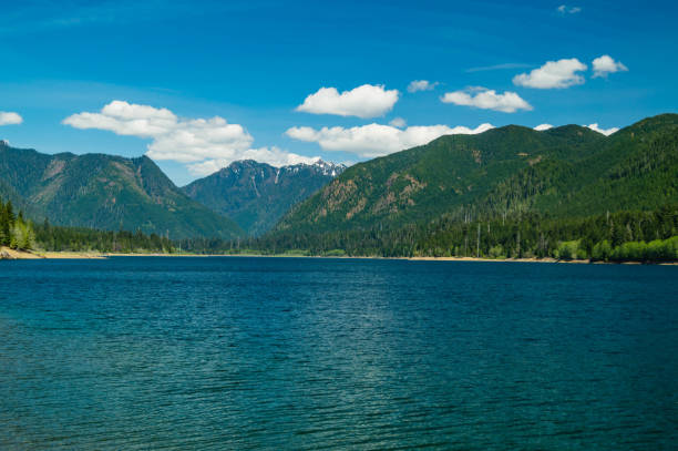 lago wynoochee dentro do parque nacional olímpico - capitol - fotografias e filmes do acervo