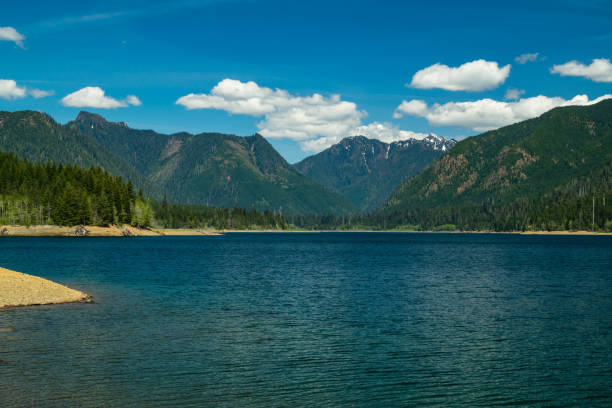 lago wynoochee dentro do parque nacional olímpico - capitol - fotografias e filmes do acervo