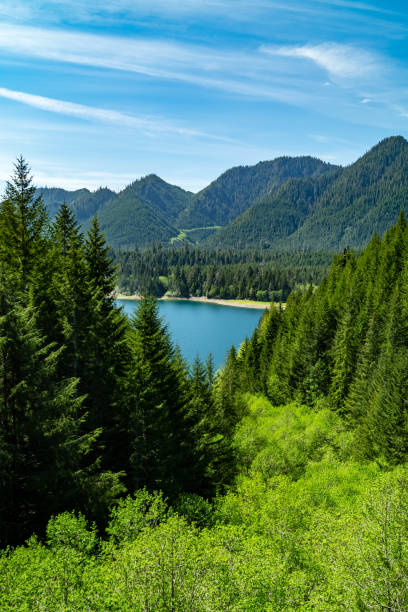 lago wynoochee visto attraverso il parco nazionale olimpico - olympic peninsula foto e immagini stock