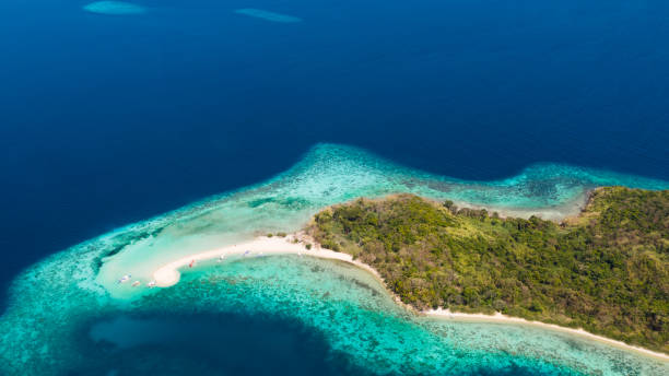 istock Tropical island with white beach, aerial view.tropical island 1148874580