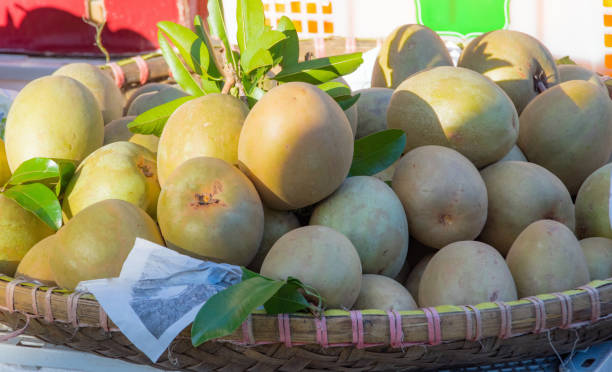 istock Sweet sapodilla fruit 1148874634