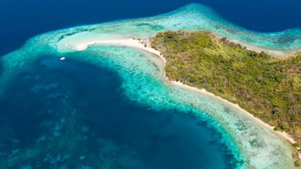 istock Tropical island with white beach, aerial view.tropical island 1148874637