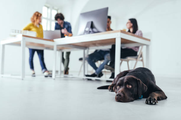istock On the way to the top 1148874912