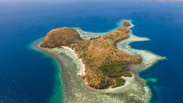 istock Island with coral reefs, view from the top 1148875525