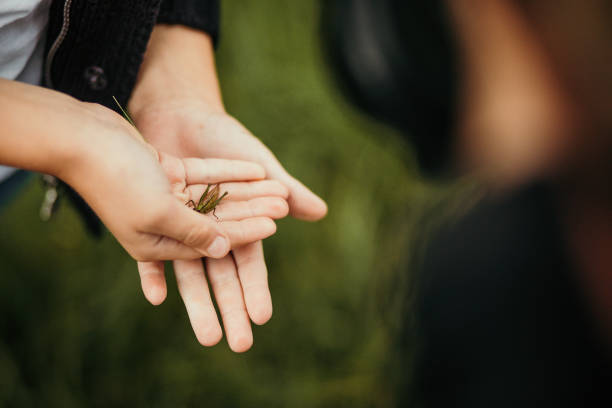 Boy with a grasshopper Boy with a grasshopper painted grasshopper stock pictures, royalty-free photos & images