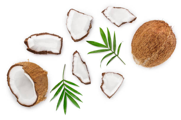 istock coconut with leaves isolated on white background. Top view. Flat lay 1148881109