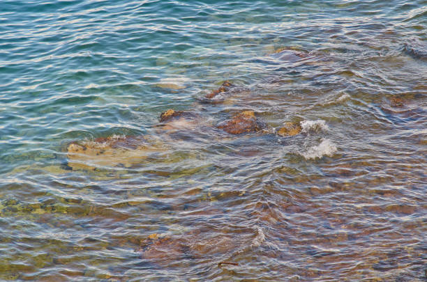 istock Background with a colourful surface of the sea 1148883025