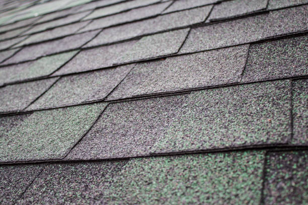 green shingles on the roof waterproof membrane asphalt stock pictures, royalty-free photos & images