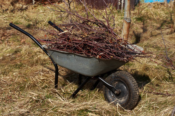 istock Metal garden cart 1148885167