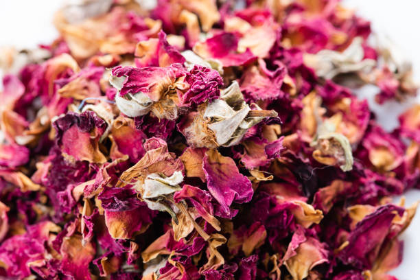 istock Rose flower dry tea isolated on a white background 1148888995