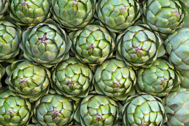 hintergrund mit artischockenblume - artichoke isolated vegetable food stock-fotos und bilder