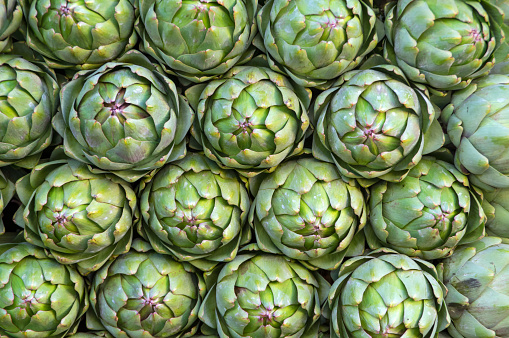 background with artichoke flower, photo use for design advertising, trade and more