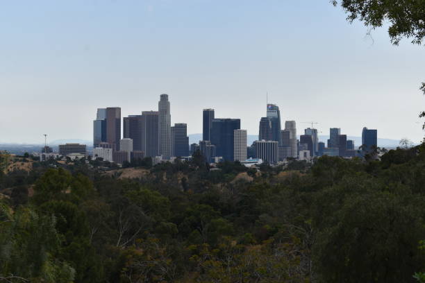 istock Downtown Los Angeles Looking South West 1148891153