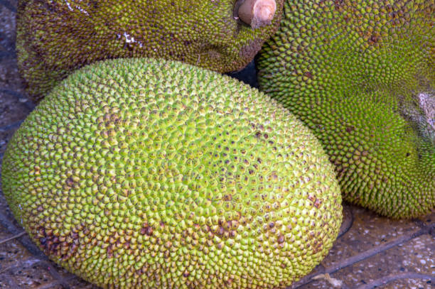 istock background with jack fruit in the tropic market 1148891990