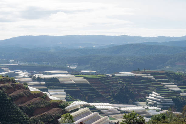 istock Greenhouse, cage homes, high-tech agriculture 1148892210