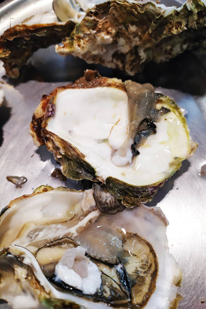 istock Fresh oysters in a white plate with ice and lemon 1148900660