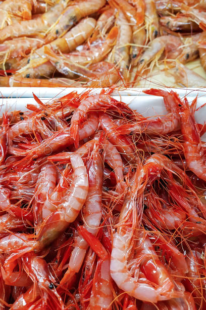 istock Fresh small red shrimp, seafood, carabinieri. natural background 1148900733
