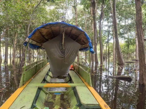 Lagoon, Brazil - March 20, 2018: Grilling fish and bananas on the fireplece on the camp in the amazons jungle