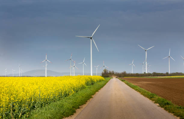 풍력 터빈 분야 - wind turbine austria field yellow 뉴스 사진 이미지