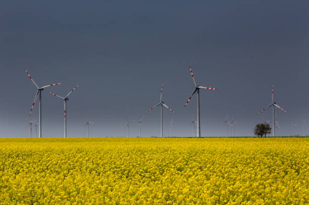 풍력 터빈 분야 - wind turbine austria field yellow 뉴스 사진 이미지