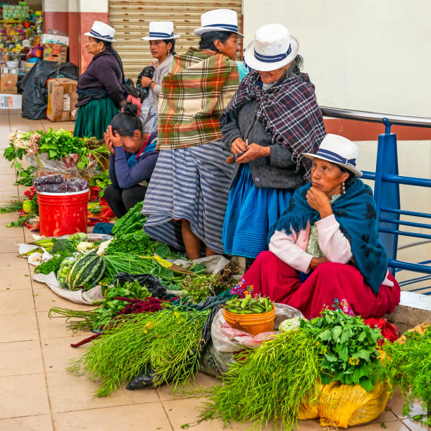 Indigenous ecuadorian women in traditional clothing and Panama hats selling vegetables inside the Cuenca indoor local market, Cuenca city, Ecuador