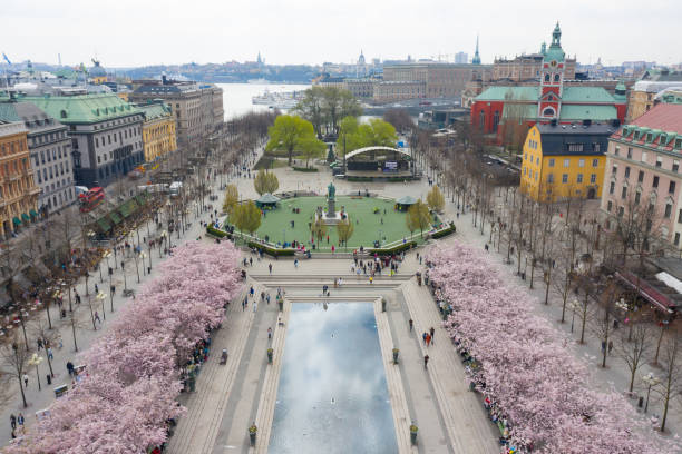 istock First cherry blossom and fountain, Kungstradgarden 1148907657