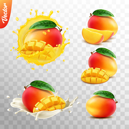 3d realistic transparent isolated vector set, whole and slice of mango fruit, mango in a splash of juice with drops, mango in a splash of milk or yogurt