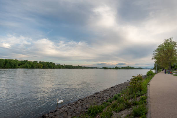istock Eltville on the Rhine 1148914575