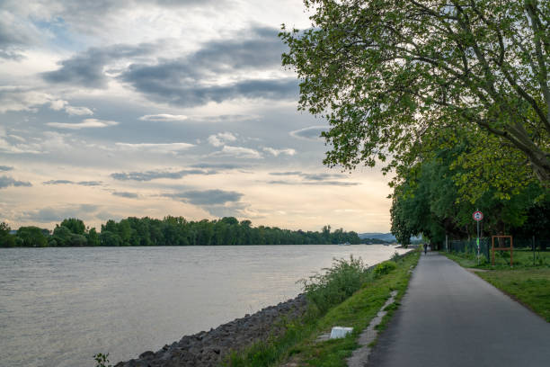 istock Eltville on the Rhine 1148914629
