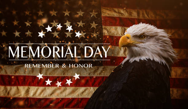 istock American flag with the text Memorial day. 1148916031