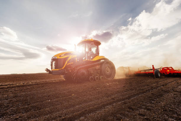 istock Seeding for next season 1148916142