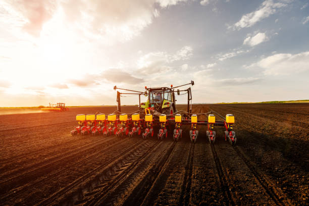 trabajar en tierras agrícolas - planta de tiesto fotografías e imágenes de stock