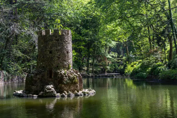 natural forest park Pena in Sintra, Portugal, with trees and stones